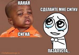что такое сигна