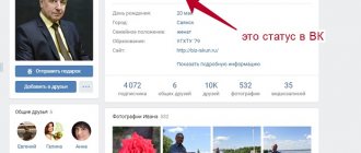 how to put status on VK