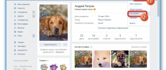 Go to Settings on the VKontakte website
