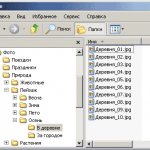 Пример названий папок в цифровом фотоархиве