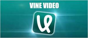 VineVideo – лучший паблик с видео